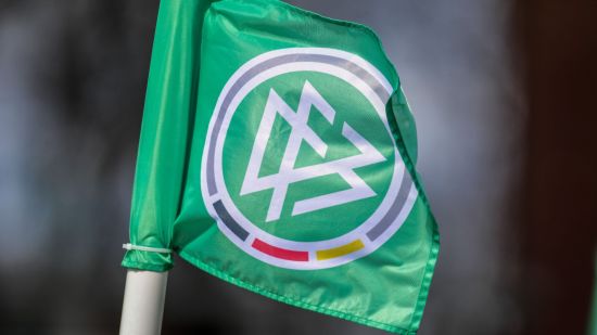 Hitzlsperger hails German FA move to let transgender players choose between men’s and women’s teams